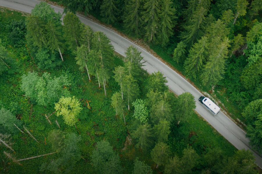vehicle on road through trees