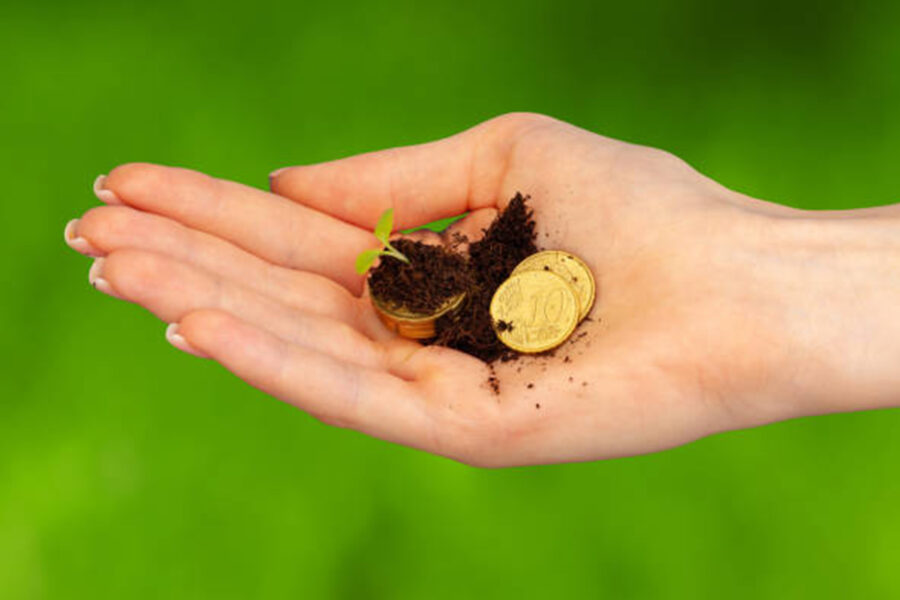 woman's hand holding dirt, coins, and a seedling sprouting