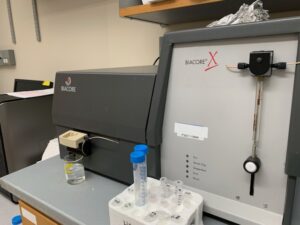 Biacore X surface plasmon resonance for binding kinetics characterizations