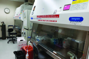 Facilities for biosafety level 2 cell culture