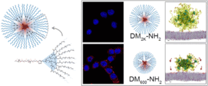 visualization of dendron micelles