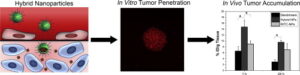 visualization of hybrid nanoparticles
