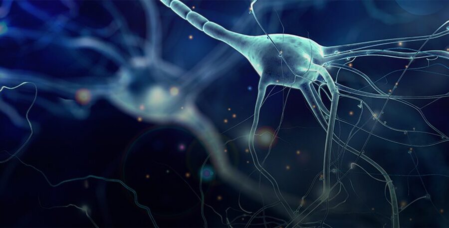 visual representation of a neuron