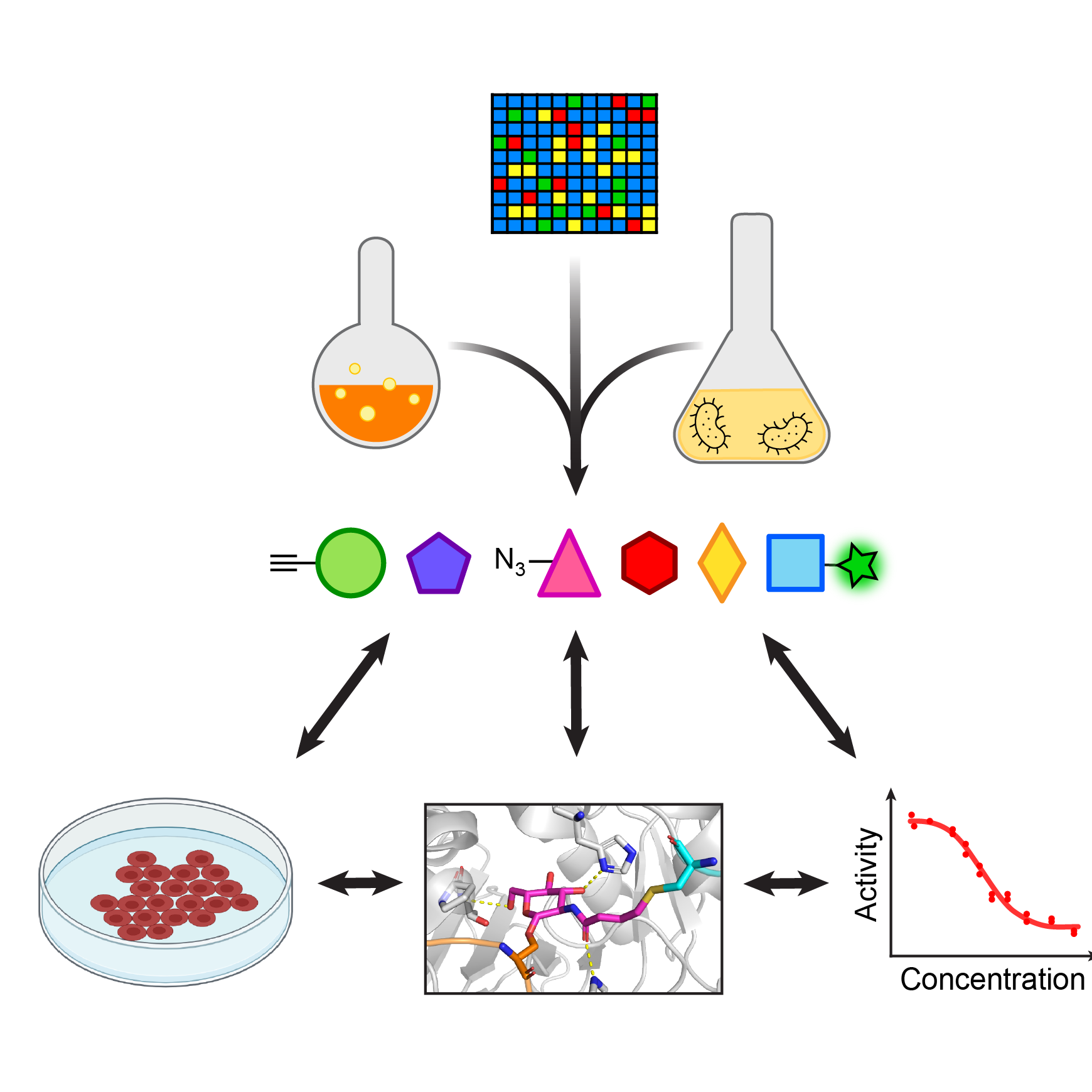 representative of chemical probe development