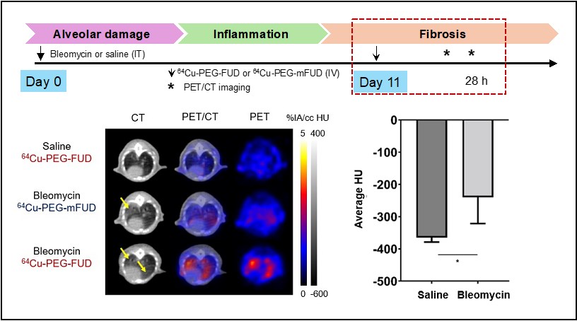 picture depicting development of a potent inhibitor of fibronectin assembly