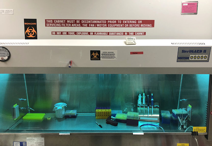 Cell culture hood