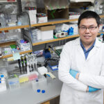 Quanyin Hu in his lab