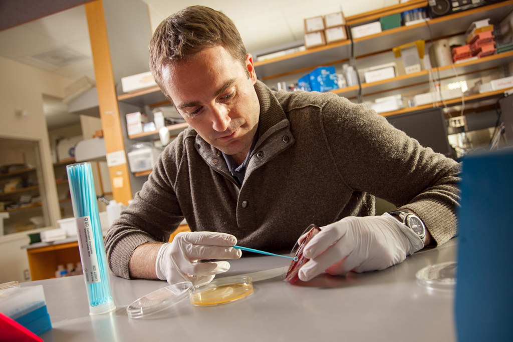 Warren Rose working with a petri dish.