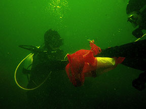 Navid Adnani and Tom Wyche work together to fill the red mesh trash bag.