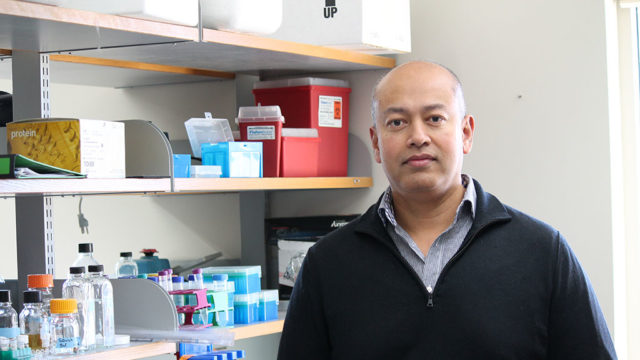 Arash Bashirullah in the lab