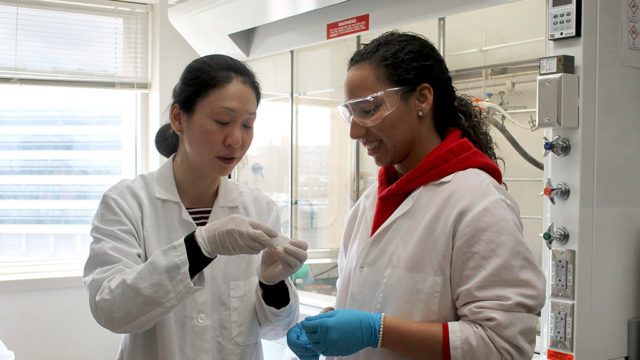 Assistant Professor Jiaoyang Jiang and Arielis Estevez working in the lab