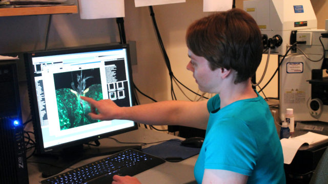 Sarah Neuman working at computer in lab