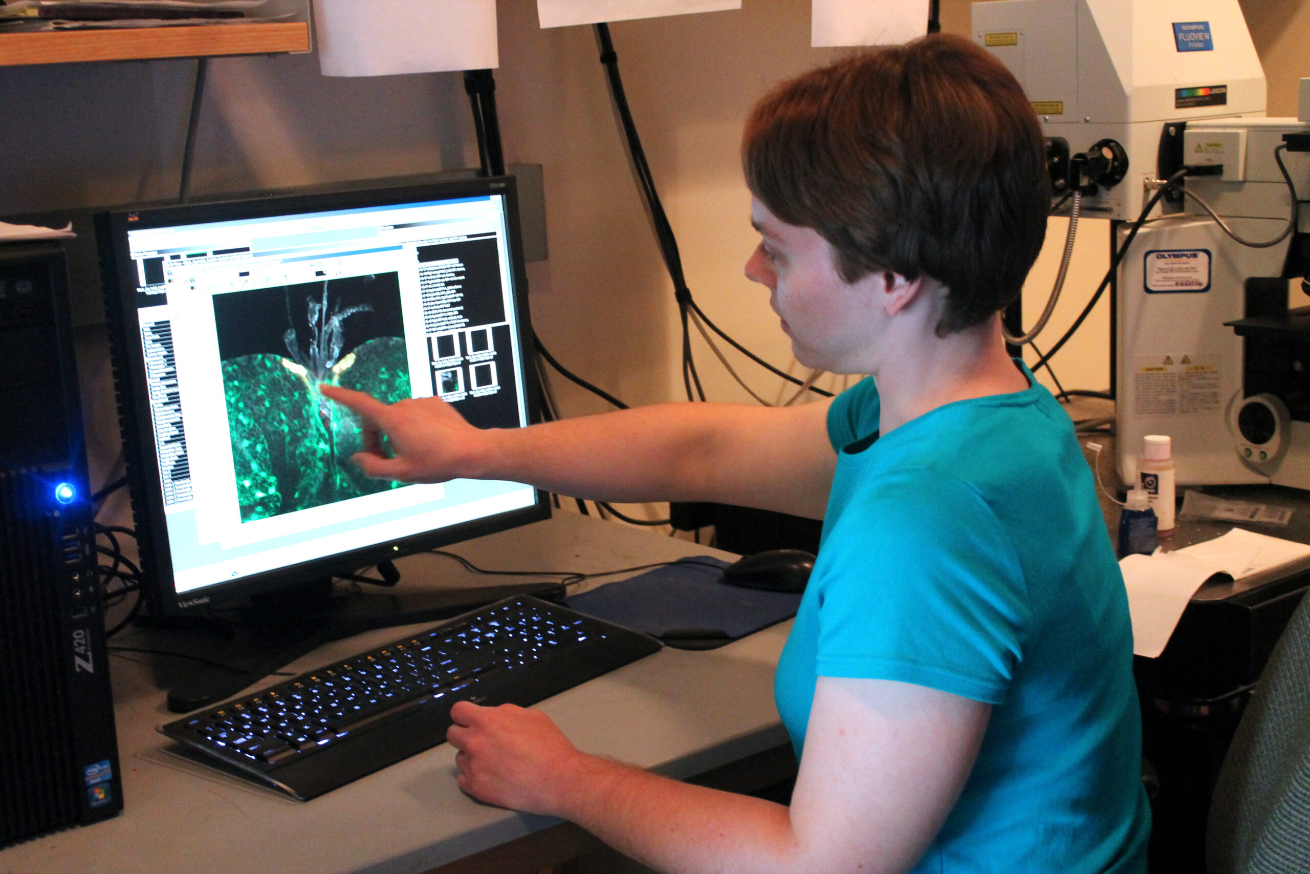 Sarah Neuman working at computer in lab