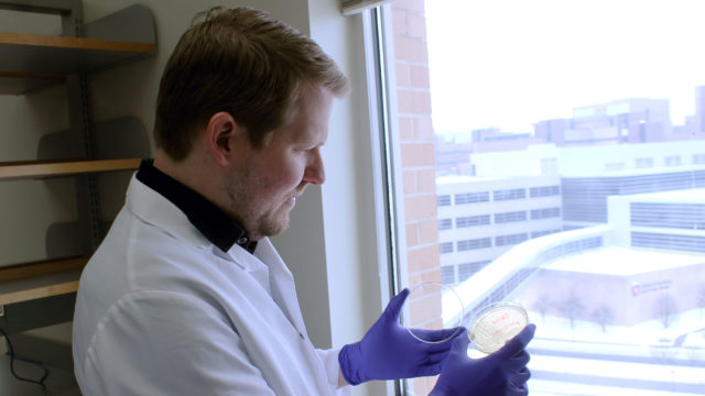 Jason Peters looking at samples in petri dish by window