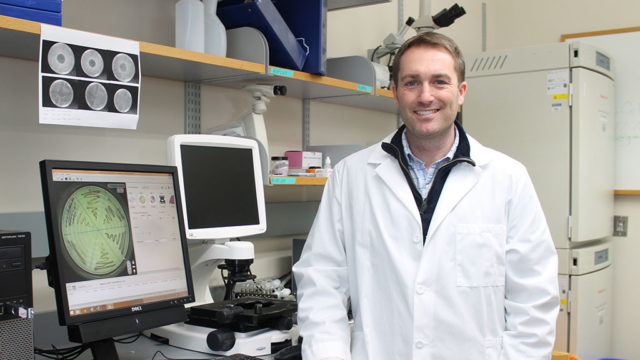 Warren Rose in his lab