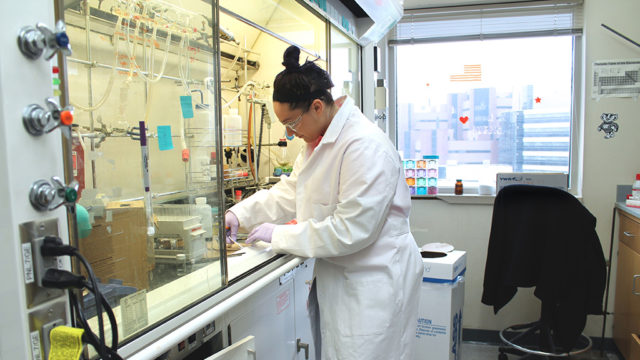Stephanie Ann Blaszczyk working at the fume hood in a lab