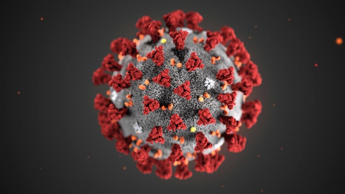 3D Rendering of the COVID-19 virus