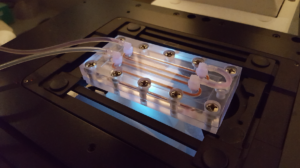 image of the device used in the study which perfuses a small amount of the patient's blood through a chamber lined with tumor cell-capturing proteins.