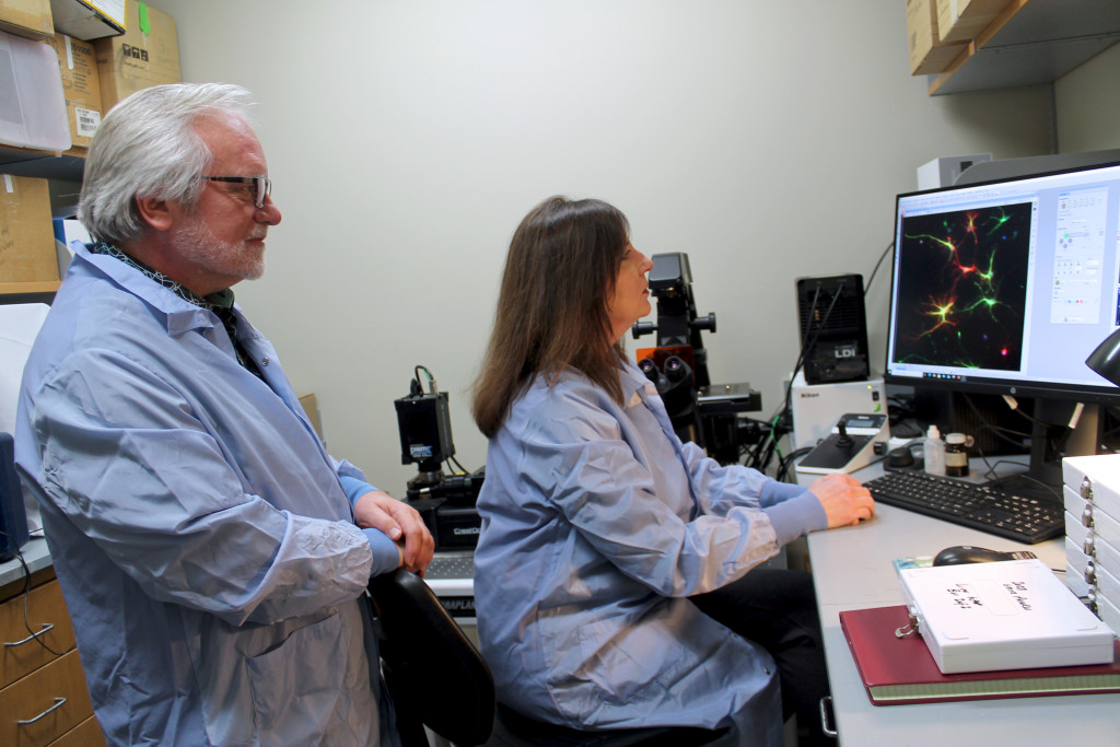 Jeffrey and Delinda Johnson review their research images on a computer.
