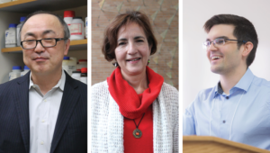 Professor Glen Kwon, senior scientist Bianca Tomasini-Johansson, and Pawel Zbyszynski (PhD ’19), a former member of the Kwon Lab.