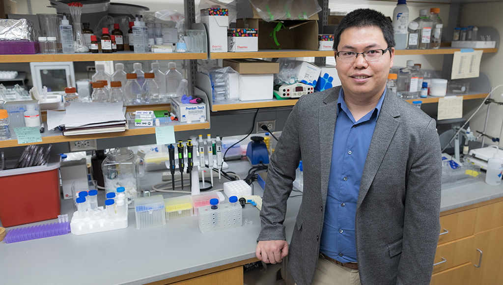 Quanyin Hu in his lab