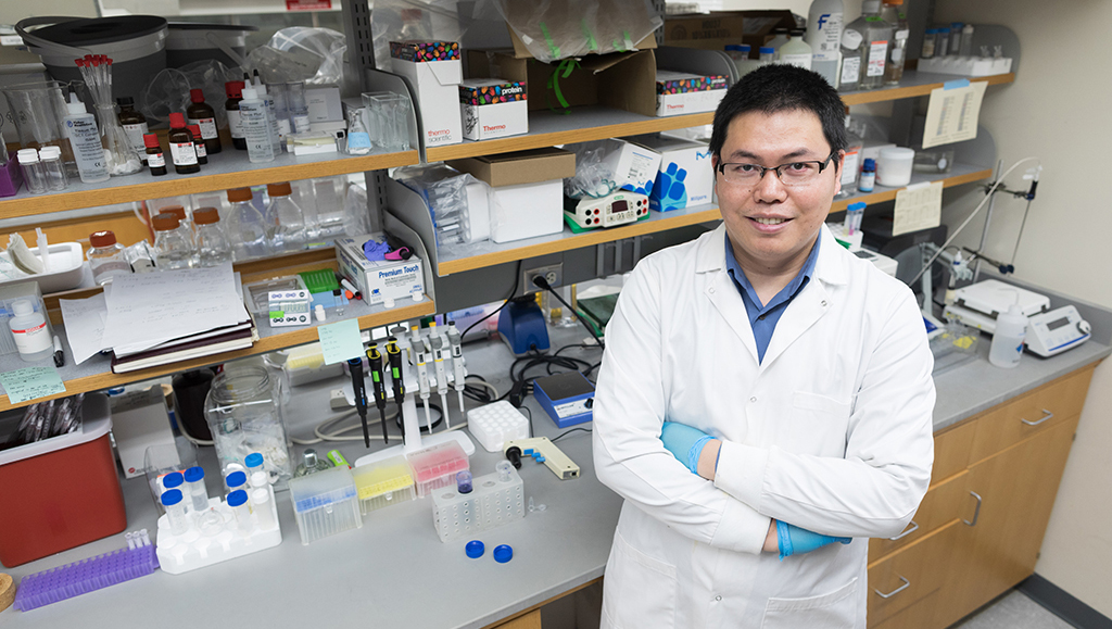 Quanyin Hu in his lab