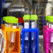 a collection of bottles and test tubes sit on a lab bench