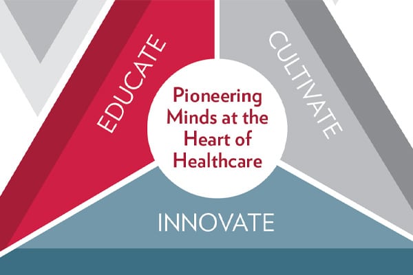 zoomed view of School of Pharmacy strategic plan graphic