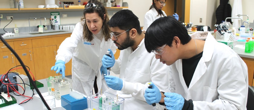 Professor Dickmann shows Applied Drug Development students how to set up an electrophoresis gel