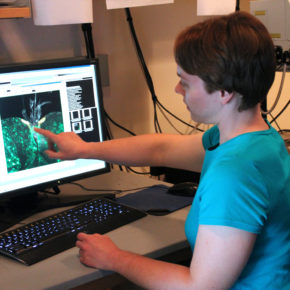 Sarah Neuman working at computer in lab