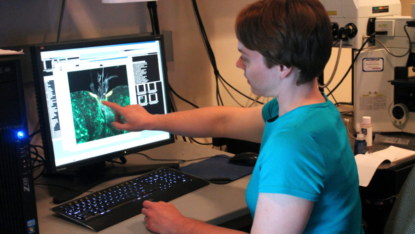 Sarah Neuman working at computer in lab