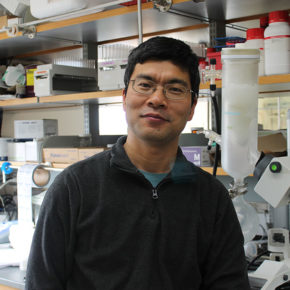 portrait of Weiping Tang in his lab