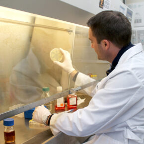 Warren Rose working in a fume hood in his lab