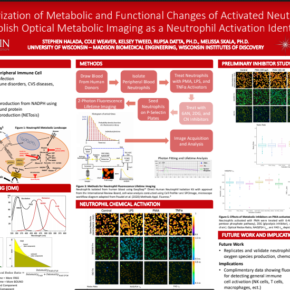 research poster on "Characterization of Metabolic Changes of Activated Neutrophils to Establish Optical Metabolic Imaging as a Neutrophil Activation Identifier"