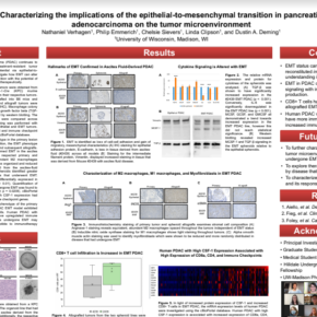 Picture of research poster on "Characters the Implications of the Epithelial-To-Mesenchymal Transition in Pancreatic Adenocarcinoma on the Tumor Microenvironment"