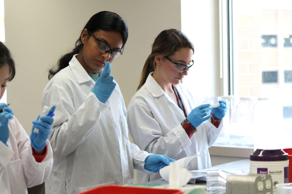 Students working in a lab