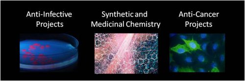 image showing the span of Golden Lab research from infective projects to synthetic & medicinal chemistry to anti-cancer projects