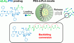 Image of cells_prodrug_micelle_backbiting research