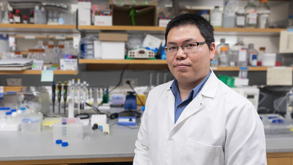 Quanyin Hu in his lab