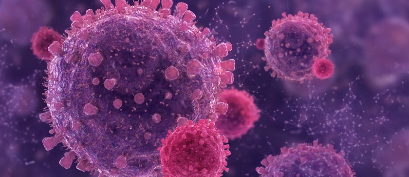 neutrophils target a tumor cell