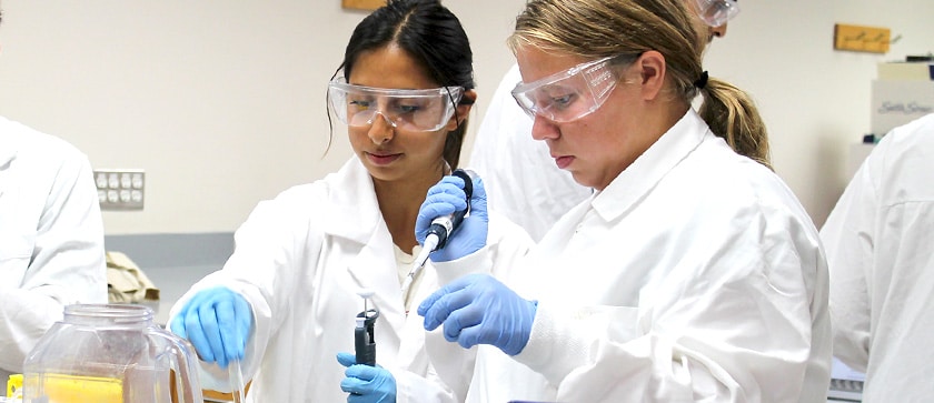 Pharamcology & Toxicology students work together on a lab assignment