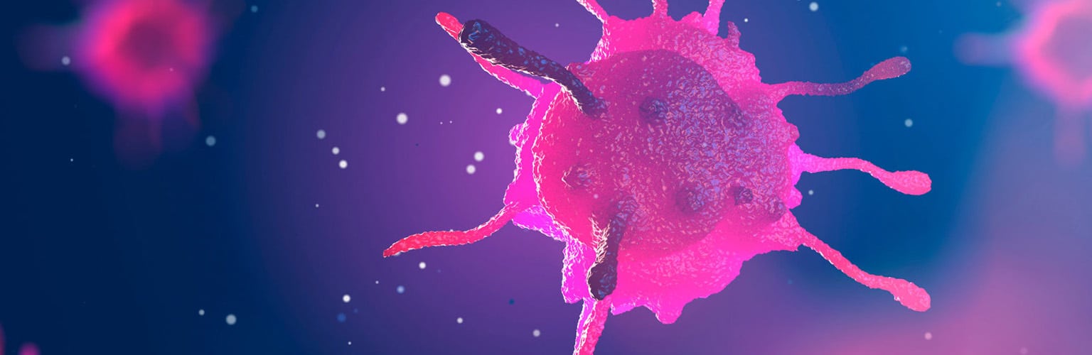 a bright pink neutrophil travels through interstitial fluid