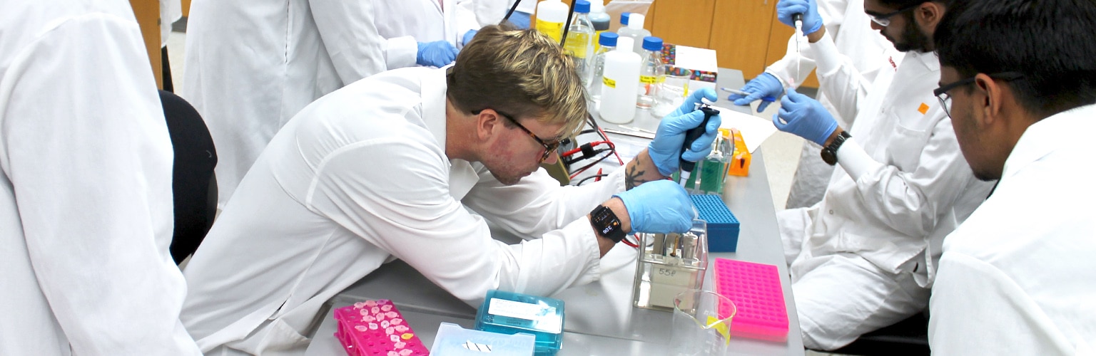 An Applied Drug Development master's student pipettes a sample into an electrophoresis gel
